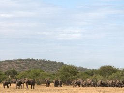 Western_Corridor2009-46